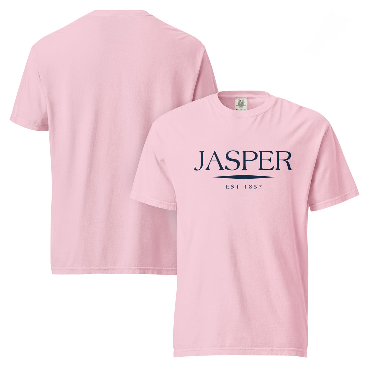 Jasper GA t-shirt in Blossom with navy ink, North GA Local
